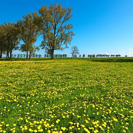 Apartmán Residenz Am Yachthafen Hafentraum Kirchdorf (Poel)